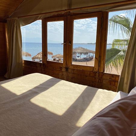 Nuweiba Lodge Kültér fotó