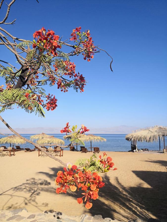 Nuweiba Lodge Kültér fotó